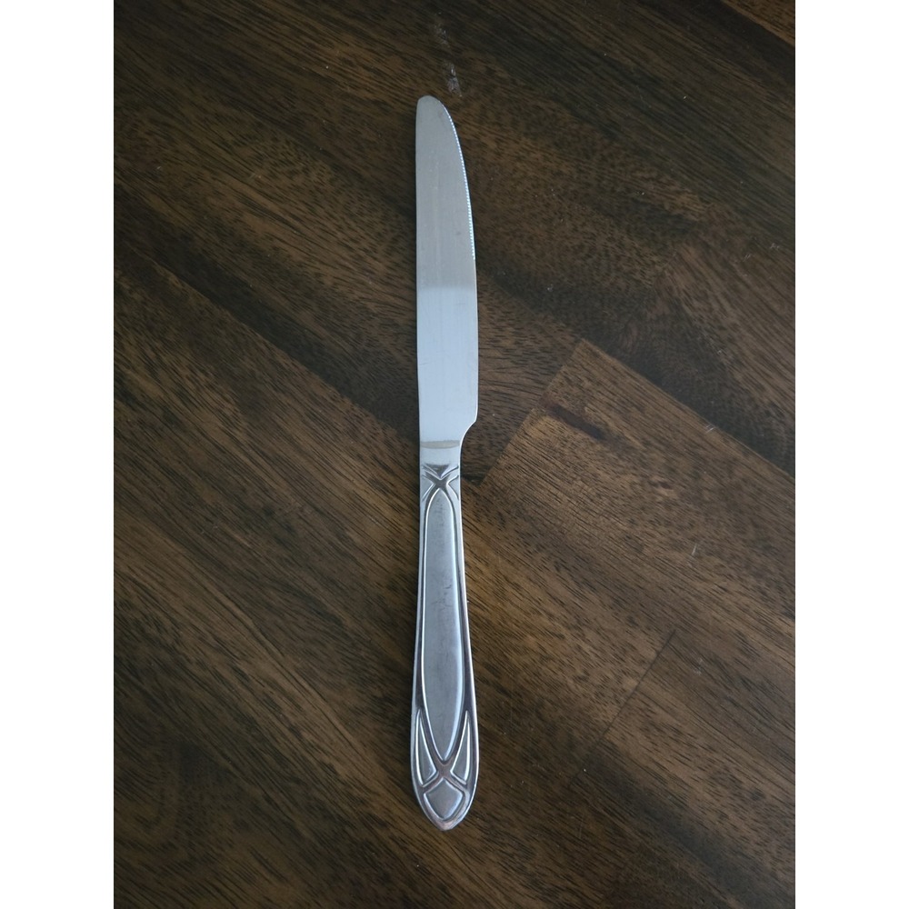Pfaltzgraff Mirage Frost Pattern Dinner Knife Replacement. Stainless Steel